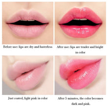 Lade das Bild in den Galerie-Viewer, Aloe Vera Magie Lip Balm
